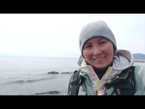 Видео: они едят ИКРУ и КРИЧАТ.. даже не слышно моря..