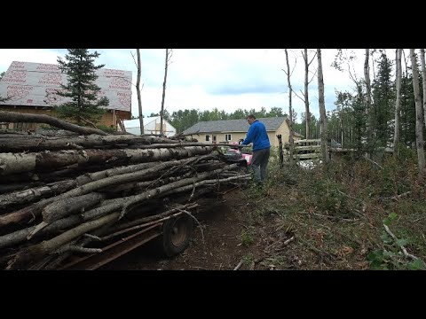 Видео: Жизнь на Аляске. Осенние заботы.