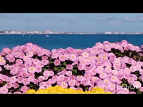 Видео: Ноябрь солнечный