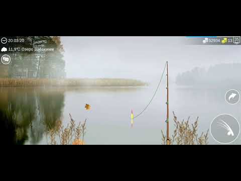 Видео: My Fishing World Три рыбы для фарма.