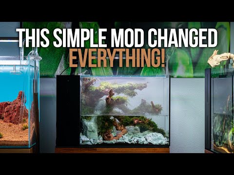 Видео: Палюдариум Ньюта, собранный в танке UNS 45A AIO