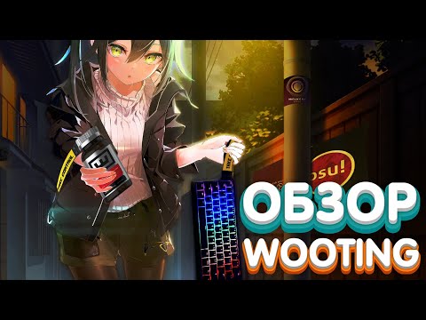 Видео: ИМБА ДЛЯ OSU!? Wooting 60he ОБЗОР