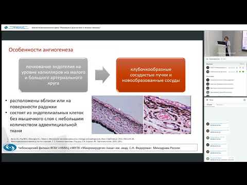 Видео: Школа поликлинического врача Инновации в диагностике и лечении глаукомы 26 10 2023