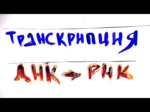 Видео: Транскрипция. Как защищается РНК. Биохимия