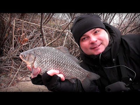 Видео: Нарешті поперли зимові Карасі !!! Куди не закинь, всюди Риба !!!