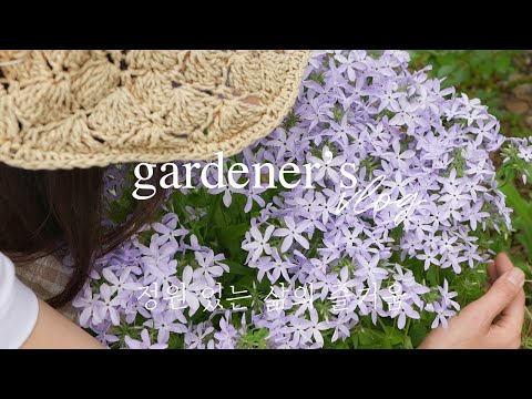 Видео: Ты когда-нибудь запах голубых звёзд пахнул? Как красивая весна в апреле!