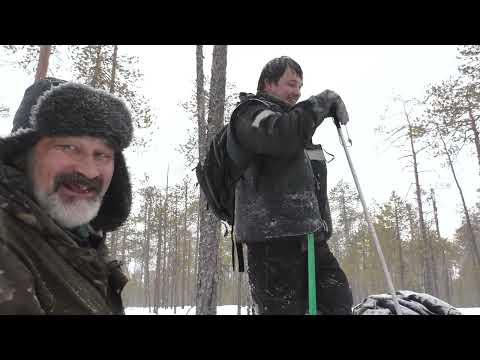 Видео: Легко ли найти глухариный ток в апреле #4