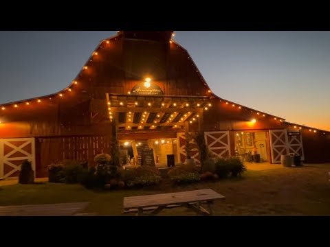 Видео: 🍁  В парке, где растёт виноград.🍇 Октябрь, 2025