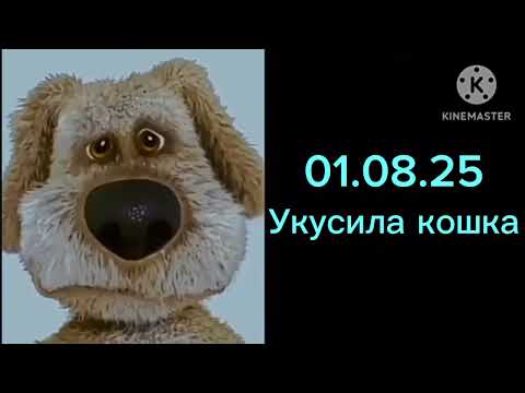 Видео: Оцениваю даты в моей жизни 2:
