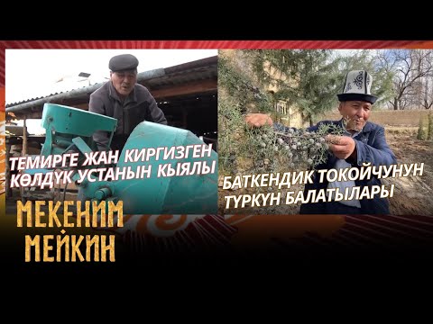 Видео: Баткендик токойчунун түркүн балатылары // "Мекеним мейкин" көрсөтүүсү