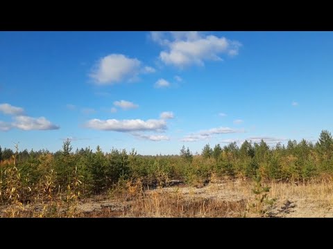 Видео: МЕТАЛЛОКОП НА СТАРЫХ СКВАЖИНАХ! МНОГО МЕТАЛЛОЛОМА!