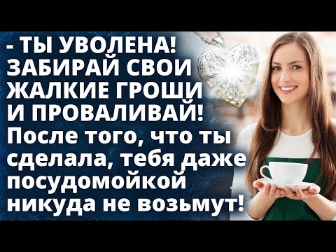 Видео: Ты УВОЛЕНА! После того, что ты сделала, тебя даже посудомойкой никуда не возьмут! Истории любви