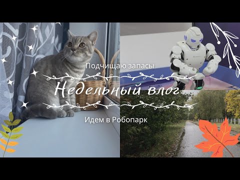 Видео: Подчищаю запасы. Готовлю только из того, что есть дома. Поход в Робопарк. Обзор роботов.