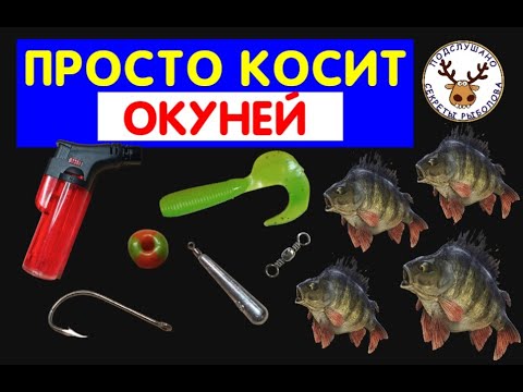 Видео: ЭТА СНАСТЬ ПРОСТО КОСИТ РЫБУ 👍 ВЯЖУ ГРАМОТНЫЙ ОТВОДНОЙ ПОВОДОК НА ОКУНЯ 👍 УЛОВИСТАЯ ПРОВОДКА