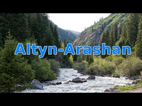 Видео: Ущелье Алтын-Арашан. Кыргызстан.