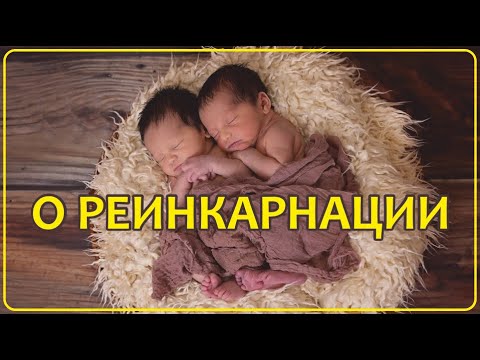 Видео: #49 Ваши Новые Истории о Реинкарнации