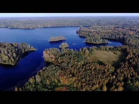 Видео: Шатозеро, Колошма. Черновик на память.