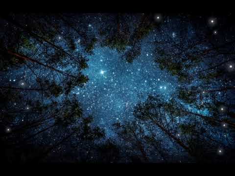 Видео: Варган. Ліс. Шум струмка. Медитація.