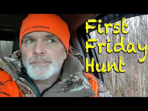 Видео: Первая пятничная охота