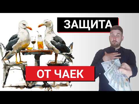 Видео: Кто должен платить на первом свидании?