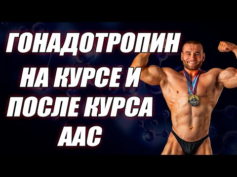Видео: Как колоть ХГЧ на курсе стероидов? Гонадотропин на курсе и после курса.