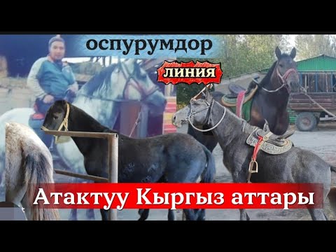 Видео: Ото кучтуу оспурумдор 6 баш только линия