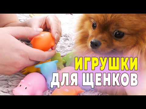 Видео: Щенкам шпица 21 день – 3 недели. Учу мужа прикармливать щенков. Игрушки для щенят. Про электрогрелку
