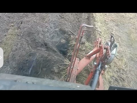 Видео: Сезон оранки відкрито. Оранка після льону.