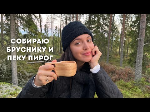 Видео: ОСЕННИЙ ДЕНЬ В ФИНЛЯНДИИ: В лес за ягодами, прогулка и домашний пирог с брусникой