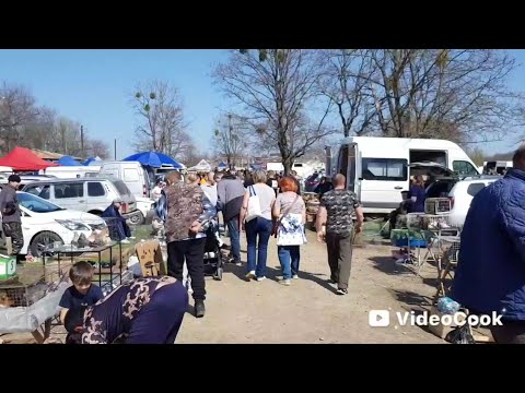 Видео: Ярмарка, Кропоткин.30,03,2025г