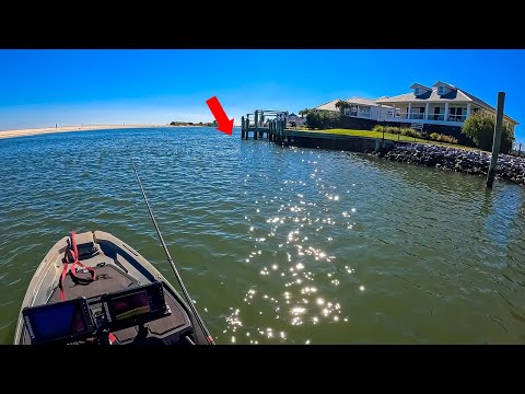 Видео: Я ВСЕГДА нахожу ЭТУ рыбу около солёных доков!!