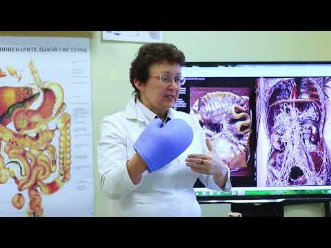 Видео: Как восстановить кровообращение в организме. [Шишова О.И.]