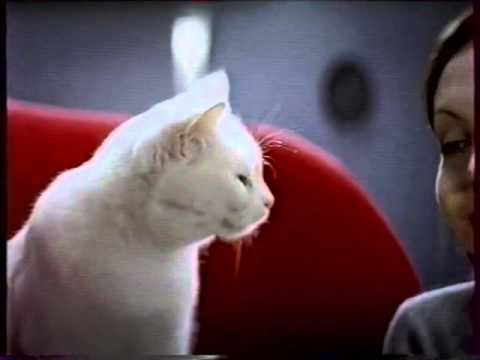 Видео: Анонсы и реклама (НТВ, 29.07.2003). 6