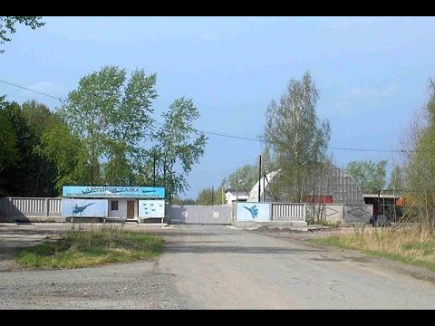 Видео: г. Нижний Тагил. с. Покровское. пос. Сокол. Я приехал в лес, побыть на природе... 09.09.2024 г.