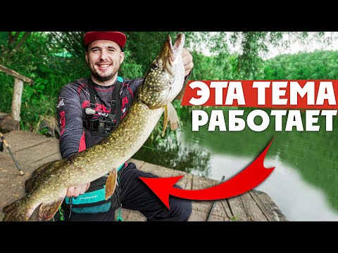 Видео: ЛЕТО, ЖАРА... А мы дубасим ЩУКУ! Как ловить ЩУКУ В ЛЕТНЮЮ ЖАРУ?!