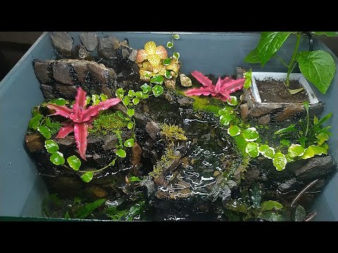 Видео: Создание небольшого палюдариума с рекой и водопадом.