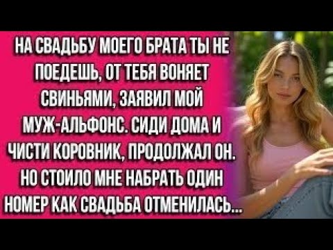 Видео: На свадьбу моего брата ты не поедешь, от тебя воняет свиньями, — заявил мой муж-альфонс. Сиди дома..