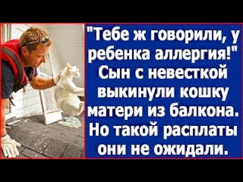 Видео: Тебе ж говорили, у ребенка аллергия!  Сын с невесткой выкинули любимую кошку матери из балкона