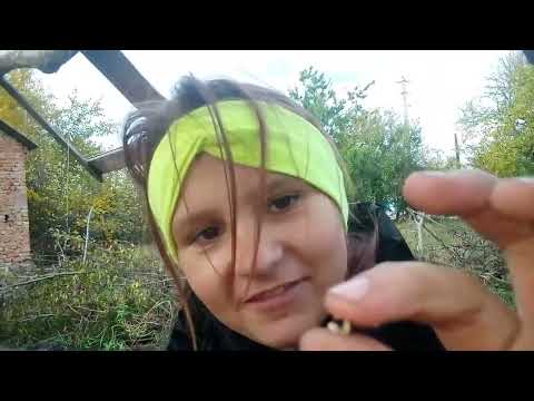 Видео: 27 часть про базу 