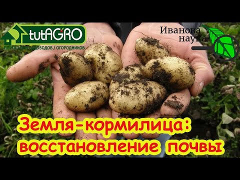 Видео: Вот как оживить почву: превращаем тощую землю в чернозем! Навоз, удобрения сидераты.