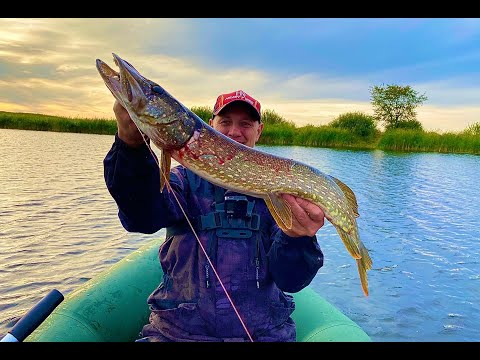Видео: ВОБЛЕР EVER GREEN В ДЕЛЕ. ОБЛОВИЛ ПО ЩУКЕ. Японский воблер