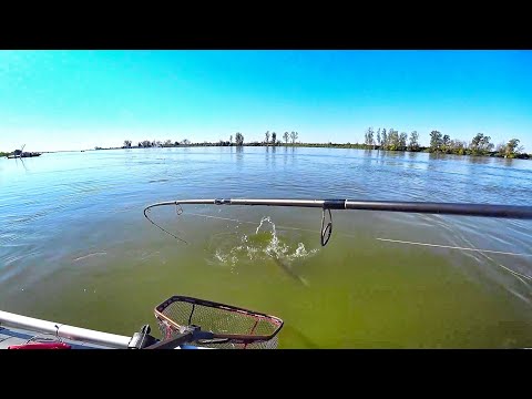 Видео: ПОДНЯЛ И ОФИГЕЛ! 😱ПОЙМАЛ КАКОГО-ТО МУТАНТА!Рыбалка на спиннинг осенью.