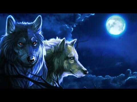 Видео: Два волка. Полная версия притчи