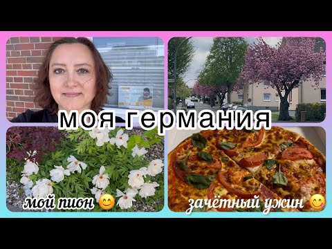 Видео: Весна-красавица🌺/ зачётный ужин/ шикарный пион😊/ вкусная выпечка и хорошее настроение/ моя Германия
