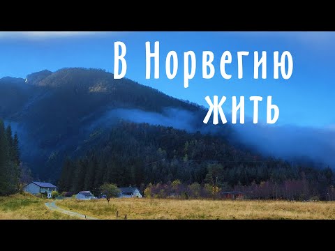 Видео: Новички переехали жить на ферму в Норвегии.