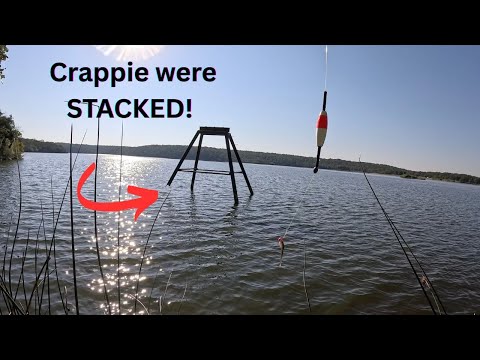 Видео: Странная металлическая конструкция была ЗАГРУЖЕНА краппи! Выскользни из банка!
