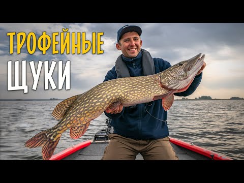 Видео: ФЛЮР или МЕТАЛЛ? Ловля трофейной щуки с лодки осенью.