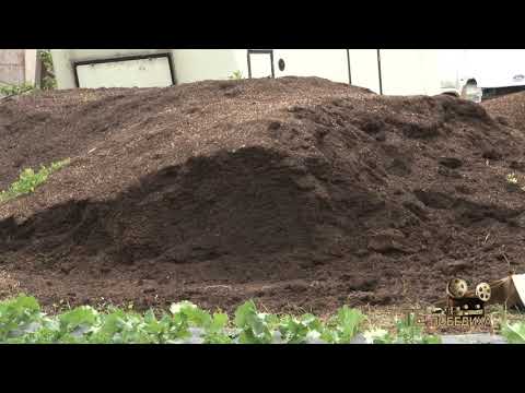 Видео: Те победиха: Вдъхновението - в реалността, автор: Валентина Спасова