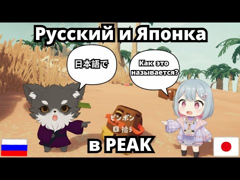 Видео: Как Сукоши и Тейджи тренировались в PEAK до стрима [定時で帰りたい会社員]