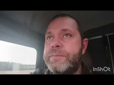 Видео: Попытка номер два по зарыблению водоёма.